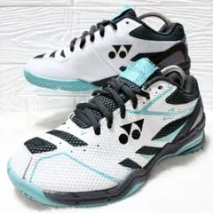 Item thumbnail for item 61d4ae0a-e8f0-4ff4-89e4-8e749e351895