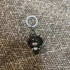 うさぎのモフィめじるしアクセサリー　ソラ