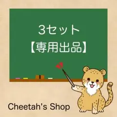 3セット 専用出品