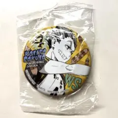 ハイキュー ポートレート 缶バッジ 木兎光太郎