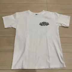 Item thumbnail for item 8eb44eee-239f-4207-bab9-258f1c352805