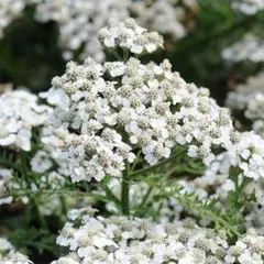 メル58138様 リクエスト 2点 まとめ商品