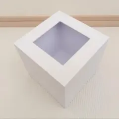 Item thumbnail for item 829e06bc-79e9-4273-a911-7d81ff77f4a4