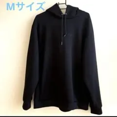 Item thumbnail for item 53e2bee2-17c6-48a8-bf55-4fc3eaff82c1