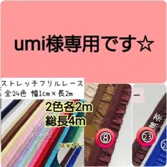 umi様専用　4m　1cm幅ストレッチフリルレース