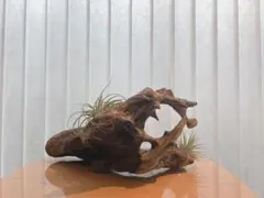 Item thumbnail for item 141234d7-071c-4324-b9b5-08af783bfb73