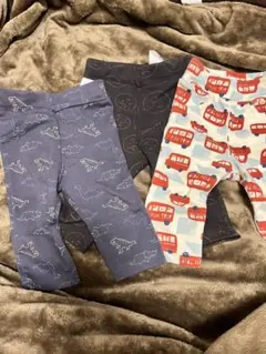 恐竜・バス柄パンツ3枚セット