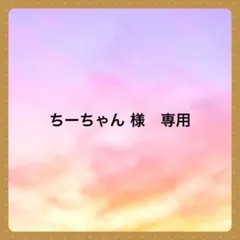 ちーちゃん ＊次回発送4/21＊様 リクエスト 2点 まとめ商品