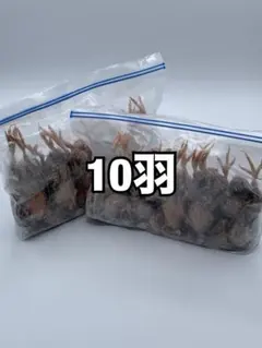 冷凍うずら（内臓なし）10羽【送料込】 - メルカリ