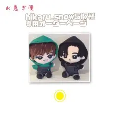 hikaru_snow517様専用オーダーページ　すのチルBIG 期間限定価格