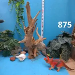 877ホーンウッド灰汁抜き硬質天然流木 自然な形状 約30cm-36cm3