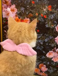 Item thumbnail for item dc0809df-6948-468b-8c08-233b67efefe4