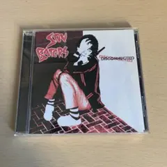 スヌーピー盤】Bloodthirsty Butchers / kocorono - メルカリ