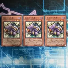 Item thumbnail for item 6b8b58a6-1e70-4e0c-b0a4-cf93a5f84c56