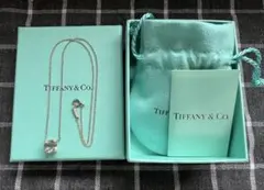Tiffany ティファニー　スパークラー　 プラシオライト　希少‼︎ 美品✨ 希少‼️Tiffany ティファニースパークラー プラシオライト美品✨