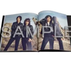 THE YELLOW MONKEY 2019 パンフレット 吉井和哉 菊地英昭