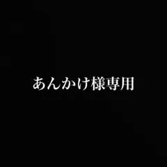 ZARA archive カモフラージュ キルティングブルゾン MA-1 M