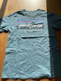 patagonia オーガニックコットン Tシャツ S
