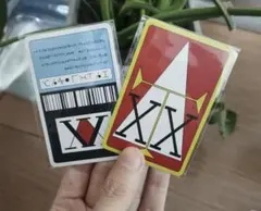 最安値　ハンターハンター　ライセンスカード2枚　HUNTER×HUNTER