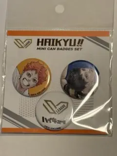 【新品未開封】 ハイキューSVリーグチャンピオンシップ限定 ミニ缶バッジセット