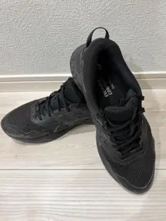 ASICS ゴアテックス　スニーカー