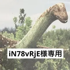 iN78vRjE様専用　恐竜キングカードリクエスト