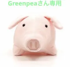 ★未使用品★ HELEN KAMINSKI GOYA ラフィアバッグ シェル付きのサムネイル