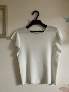 Item thumbnail for item a0e46dbe-baa8-44c3-98f4-faeabc020ce9