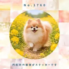 Item thumbnail for item 1a23609a-4ba1-4916-9c1d-5b3d62ab7c02