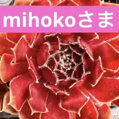 mihoko様 リクエスト 8点 まとめ商品
