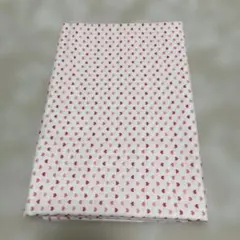 Item thumbnail for item d284eb3e-22bd-453d-a402-fc82f9ebc092