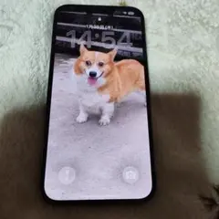 iPhone13 Pro Max 256GB