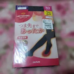 GUNZE HOTMAGIC タイツ 80デニール 2足組 L-LL