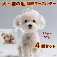 Item thumbnail for item 67b5a52c-da8d-43cc-92f7-36198b921bca