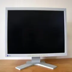 【希少】EIZO FlexScan L997 21.3インチモニター