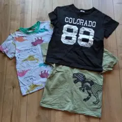 恐竜Tシャツセットのサムネイル