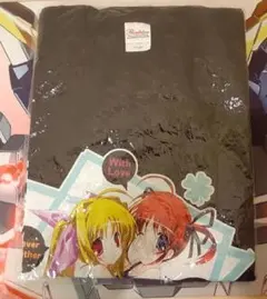 Item thumbnail for item 96e6b9d3-b327-438f-ab29-4b30531d1fe3