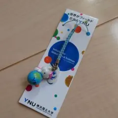 超希少！ご当地キティ♡NOVARA TAKEMOTO ゴスロリキティ 2005年 - メルカリ