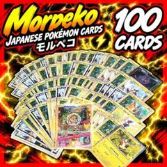 Morpeko 100 Cards 포켓몬 カード モルペコ