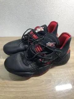 Adidas Harden_vol4のサムネイル