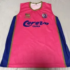 Item thumbnail for item 56bf2cdc-9d57-442d-93c2-08e98287d95d