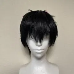 2026年最新】土方十四郎 ウィッグの人気アイテム - メルカリ