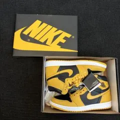Nike Air Jordan 1 High OG Pollen