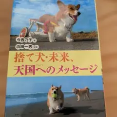 捨て犬・未来、天国へのメッセージ 今西乃子 浜田一男
