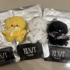 straykids ワルツ ソウルコン マイクロ ぬいぐるみ ハン 3種 - メルカリ