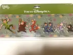 ピーターパン ファンタジースプリングス キーチェーン