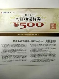 ヤマダデンキホールディングス　株主優待　お買物優待券