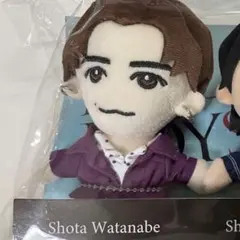 渡辺翔太　DREAM BOYS ぬいぐるみ