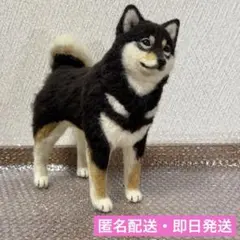 ハンドメイド作品】羊毛フェルト ダックスフンド ブラックタン 犬