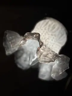 Item thumbnail for item 0f652385-40dc-458a-b4c5-5702b23f91ab